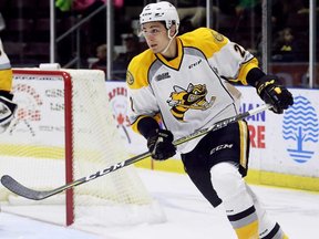 Sarnia Sting's Theo Calvas (2) plays against the Ottawa 67's at Progressive Auto Sales Arena in Sarnia, Ont., on Sunday, Oct. 1, 2017. (MARK MALONE/Postmedia Network)