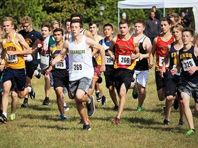Junior boys runners react to the starting gun during the 2017 Bay of Quinte Invitational cross-country meet Thursday at Goodrich-Loomis Conservation Area north of Brighton. (Submitted photo)