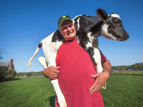 Farmer Peter Ruiter with a calf born in a neighbour's barn three days after the fire. (Wayne Cuddington, Postmedia)