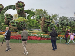 Crowds were out in Gatineau's Jacques Cartier Park on Saturday to take in the last weekend for MosaïCanada150, a one-kilometre path that winds through forty different horticulture arrangements. After this weekend, the dismantling will begin. (Wayne Cuddington, Postmedia)