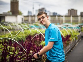 Student Josh Harrison-Maul poses for a photo on the rooftop garden at Eastdale C.I. on Gerrard St. E., near Broadview Ave. (ERNEST DOROSZUK, Toronto Sun)