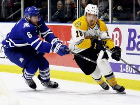 Sarnia Sting's Franco Sproviero (26) is chased by Mississauga Steelheads' Stephen Gibson (6) behind the Steelheads' net in the first period at Progressive Auto Sales Arena in Sarnia, Ont., on Friday, Oct. 13, 2017 (MARK MALONE/Postmedia Network)