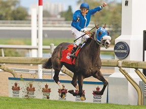 Eurico Da Silva pumps his first in the air as he guides Bullards Alley across the finish line yesterday to win the Pattison International at Woodbine. (Michael Burns photo)