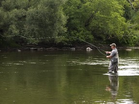 An angler casts a nice tight loop as he fishes for small mouth bass on the Thames River just upstream of the Kilworth bridge west of London, Ont. (MIKE HENSEN, The London Free Press)