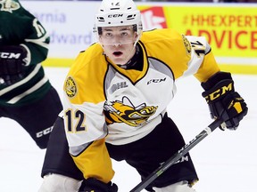 Colton Kammerer (12) of the Sarnia Sting plays against the London Knights in an OHL exhibition game at Progressive Auto Sales Arena in Sarnia, Ont., on Saturday, Sept. 2, 2017. (Mark Malone/Postmedia Network)