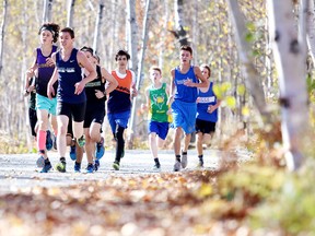 Participants take part in the junior boys category at the Sudbury District Secondary Schools' Athletic Association cross country running city championships at Kivi Park in Sudbury, Ont. on Wednesday October 18, 2017. Gino Donato/Sudbury Star/Postmedia Network