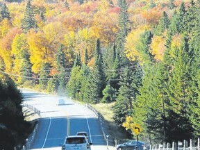 Vibrant colours dot the countryside across Ontario with the fall leaf spectacle. (Barb Fox/Special to Postmedia News)