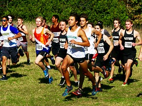 Senior boys at the start of their race at the 2017 Bay of Quinte cross-country championships Wednesday at Goodrich-Loomis Conservation Area north of Brighton. (Submitted photo)