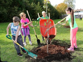 Rideau Height students from left, Hunter Ellis, Bailey Wigmore, Ty Wilson and Felicity Scrimshaw throw mulch on a newly planted tree. Co-ordinated by the group Community Response to Neighbourhood Concerns (CRNC) and with a grant from Tree Canada, more than 50 students from Rideau Heights Public School, along with a dozen or so volunteers, planted 20 trees at the Kingston & Frontenac Housing Corporation property at 1130 Montreal St. on Thursday. The group planted 40 trees at three different locations in the north end.
(Ian MacAlpine/The Whig-Standard)