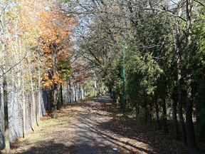 This part of the Junction Creek trail runs from Louis Street to Hnatyshyn Park.