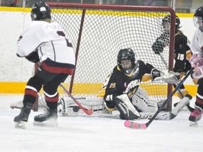 Kora Smith of the Mitchell Atom ‘B’ girls hockey team stretches to make this point blank save against West Oxford during opening night action of the 12th annual Mitchell Girls Hockey tournament last Thursday, Oct. 19 at the Mitchell & District Arena. Mitchell won this game 6-0 and didn’t allow a goal the entire night as all four teams from Mitchell blanked their opposition. In fact, the first goal scored against a Mitchell team didn’t take place until the seventh game of the tournament Friday morning. The old adage is true, you can’t lose if you don’t give up any goals! The Atoms, meanwhile, allowed just one goal in winning five games and their division. ANDY BADER/MITCHELL ADVOCATE