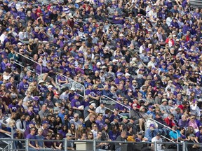 Thousands watch the football game between the Western Mustangs and Ottawa Gee Gees at TD Stadium in London, Ont. on Saturday. (DEREK RUTTAN, The London Free Press)