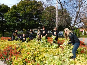 Mainstreet Credit Union at St. Vincent and Bruce boulevard garden in Goderich on October 19. (Kathleen Smith/Goderich Signal Star)