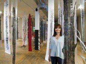 London artist Lori Jensen-Brazier?s debut solo exhibition, called Rezoning, is at the Arts Project until Saturday. (MIKE HENSEN, The London Free Press)