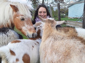 Julie Casey is surrounded by the animals at her Nourishing Hearts Wellness Care Farm on the outskirts of Rodney. It's been her dream to merge therapy and rural Ontario, first by bringing her goats and sheep into care facilities and schools. Now she and her husband are inviting people with dementia, trauma, or other mental health concerns to give them a call. (Louis Pin // Times-Journal)