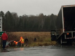 There was a fatal collision on Friday afternoon along Highway 17 near Whitefish. (Cosmo Dominelli/for the Sudbury Star)