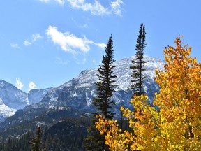 Rocky Mountain Park is stellar in any season but especially when it?s aglow with autumn colours. (BARBARA TAYLOR, The London Free Press)