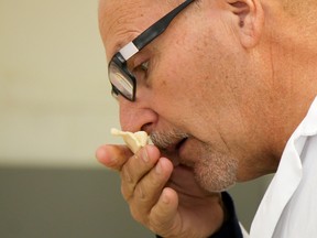 Barry Reid of Frankford takes in the scent of a piece of cheese at the The British Empire Cheese Competition on Sunday October 29, 2017 in Belleville, Ont. Reid was one of four judges, ranging from Ontario and Quebec, choosing who makes the best cheese in the business. The competition is the oldest in the British empire and, most years, larger than The Royal Agricultural Winter Fair held in Toronto. Area residents will get an opportunity to judge for themselves which cheese they prefer as the association will be setting up shop this Tuesday through Thursday at the Bay View Mall to sell off the competition entries. Proceeds from the sale are put back into the competition to pay for prizes and trophies. Any unsold cheese is donated to the United Church-run Inn From the Cold meal program. Tim Miller/Belleville Intelligencer/Postmedia Network