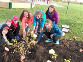 Darcy (Rebecca Kipfer-Pryce’s brother ), Noah, Spencer, Keira, Jalyssa, Kailey and Laura help with the garden at Seaforth Public School last week. This is a place to remember Kipfer-Pryce who died of cancer Sept. 23.
(Submitted photo)