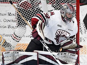 Belleville native and Guelph Storm goalie Anthony Popovich. (OJHL Images)