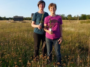 Susan Snelling, left, and Barb Erskine on their property on Manitoulin Island. (Photo supplied)