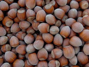 The federal government has announced a $492,000 grant to help the Ontario Hazelnut Association develop the industry with the University of Guelph and Ferrero Canada. But a Chatham-Kent grower has already planted 10 acres of the trees, and Drew Dalgleish’s father planted hazelnuts almost 30 years ago.