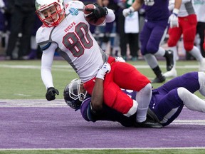 Guelph Gryphons receiver Jacob Scarfone gets tackled during the OUA Yates Cup championship football game at TD Stadium in London, Ont. on Saturday November 14, 2015. (Free Press file photo)