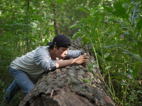 Jeremiah McLaughlin Assinewai, an Indigenous youth from Sudbury and a member of the Native Canadian Centre of Toronto, takes a picture on a smartphone in Toronto's High Park as he participates in Jayu's "iAm" program on August 28. (Chris Young/Canadian Press)