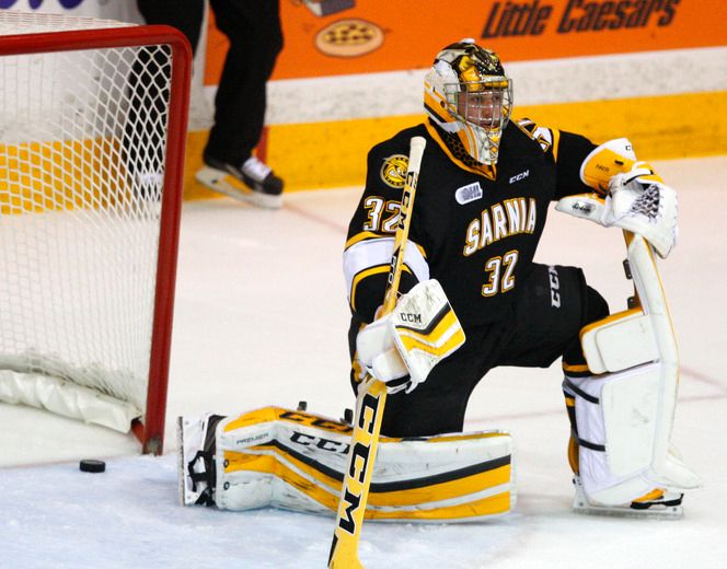 OHL This Week: Sarnia Sting's streak driven by top offensive players ...