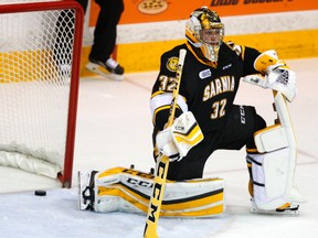 Sarnia Sting's goalie Justin Fazio. (File photo)