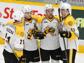 Sarnia Sting's Jordan Ernst, second from right, celebrates his goal with his teammates scored on Peterborough Petes' goalie Dylan Wells during first period OHL action on Thursday November 2, 2017 at the Memorial Centre in Peterborough, Ont. (CLIFFORD SKARSTEDT, Postmedia Network)