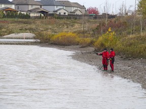 Police use a metal detector to search a partially drained pond at Meadowgate Park in London, Ont. on Friday November 3, 2017. They're investigating the homicide of Josie Glenn. (DEREK RUTTAN, The London Free Press)