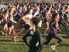 Start of the midget girls race at the 2017 OFSAA cross-country championships Saturday in Petawawa. (Submitted photo)