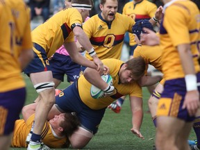 Queen's Gaels' Davin Killy is taken to the ground during the second half of an Ontario University Athletics rugby semifinal match against the Laurier Golden Hawks at Nixon Field on Saturday. Queen's won 54-7 and will host the Guelph Gryphons in the OUA championship game this weekend. (Steph Crosier/The Whig-Standard)