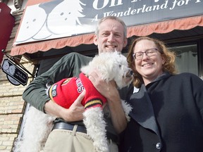 Ian and Kimberley Gillespie hold Sugar outside their store Oh My Fur and Whiskers, their first business together. The pair opened the pet store in Nov. 2016, one of more than 20 new businesses opened in downtown St. Thomas since the start of 2016. (Louis Pin // Times-Journal)