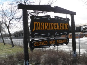Marineland accuses the OSPCA of bowing to pressure from activists, according to the Statement of Claim for its $21 million lawsuit against the animal welfare organization. PHOTO: John Law / Niagara Falls Review