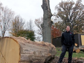 Rob Lilbourne, director of community services, stands next to the pieces of two oak trees struck by lighting last year at Alexandra Park. The municipality was recently forced to cut the trees because they had become a safety hazard. (JONATHAN JUHA, Postmedia Network)