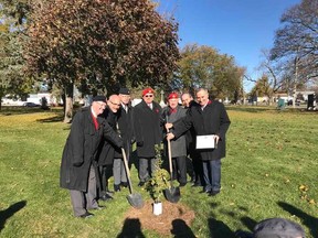 Submitted photo
MP Neil Ellis (far right) was joined by city and Legion representatives Friday for the planting of the fourth, and final, Vimy Oak sapling to be planted in the region. The saplings have been planted in Belleville, Quinte West and Prince Edward County.