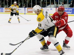 Sarnia Sting's Hugo Leufvenius (46) and Soo Greyhounds' Mac Hollowell (11) battle for the puck in the first period at Progressive Auto Sales Arena in Sarnia, Ont., on Friday, Nov. 10, 2017. (Mark Malone/Chatham Daily News/Postmedia Network)