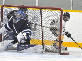 Vincent Voros (12) of the Mitchell Pee Wees peers out from behind the net for a teammate during action against Saugeen Shores from the 62nd annual Mitchell Pee Wee hockey tournament last Friday, Nov. 10. ANDY BADER/MITCHELL ADVOCATE