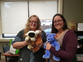 Alora Hadzinikolaou, right, and Cindy Webber of Hospice Outreach Programs of Elgin need the public’s help to reach their goal of 500 people when they attempt to reach a Guinness world record for most people hugging soft toys simultaneously on Friday. (Laura Broadley/Times-Journal)