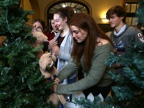 Elliot Ferguson/The Whig-Standard 
Queen's University student Abby Ross, centre, places a teddy bear on a tree at Kingston General Hospital at the launch of the annual Teddy Bear campaign in Kingston on Monday.