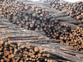 Federal and provincial governments vow to fight U.S. softwood lumber duties (File Photo).