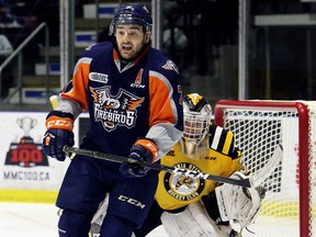 Flint Firebirds' Maurizio Colella screens Sarnia Sting goaltender Aidan Hughes at Progressive Auto Sales Arena in Sarnia, Ont., on Sunday, Oct. 29, 2017. (Mark Malone/Chatham Daily News/Postmedia Network)