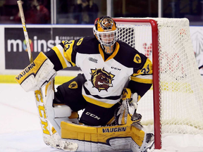 Hamilton Bulldogs goalie Kaden Fulcher plays against the Sarnia Sting in the first period at Progressive Auto Sales Arena in Sarnia, Ont., on Monday, Oct. 9, 2017. (Mark Malone/Postmedia Network)