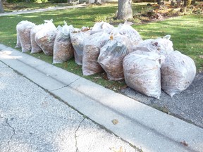 Leaves that have been bagged and placed at the curb in a northeast Sarnia neighbourhood. Gardening expert John DeGroot notes an irony in the clean-sweep mentality that people have of leaves on their yards. These same homeowners are sometimes compelled to eventually add fertility amendments to the same yard to improve their vitality. (John DeGroot photo)