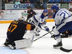 Kingston native Nolan Hutcheson and teammate Dawson Baker of the Sudbury Wolves look for a rebound as Leo Lazarev of the Barrie Colts covers the puck during OHL action in Sudbury on Nov. 10. (John Lappa/Postmedia Network)
