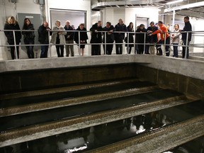 Visitors get a tour of Kingston's newly upgraded Point Pleasant Water Treatment Plant on Friday. (Elliot Ferguson/The Whig-Standard)
