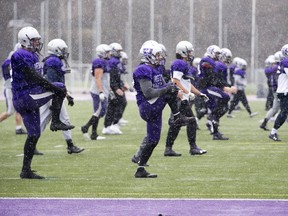 The Western Mustangs limber up in flurries during practice Wednesday at TD Stadium in London. The Stangs, undefeated in 11 games, battle the 10-1  defending national champs, Laval Rouge et Or, for Canadian university football supremacy in Hamilton Saturday. (DEREK RUTTAN, The London Free Press)