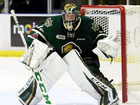 London Knights goalie Joseph Raaymakers of Chatham, Ont., plays against the Sarnia Sting in the first period at Progressive Auto Sales Arena in Sarnia, Ont., on Wednesday, Nov. 22, 2017. (Mark Malone/Chatham Daily News/Postmedia Network)